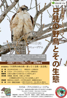 只見の野鳥とその生態