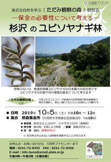 20191005_Sugisawa_kansatsunomori.jpg