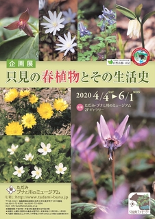 20200402_ただみ・ブナと川のミュージアム企画展「只見の春植物とその生活史」_ポスター.jpg