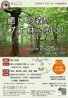 20200706_shizenkansatsukai_iyashinomori.jpg