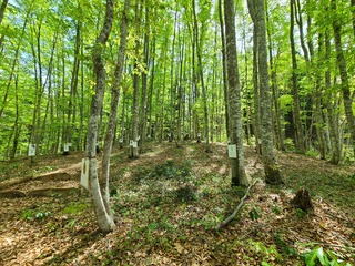 20240427_110934.jpg