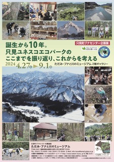 BR10th_poster.jpg