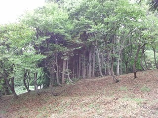 CA3K05270001.jpg