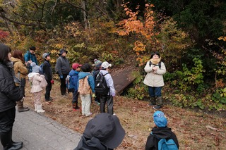 DSCF1257.JPG