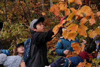 DSCF1259.JPG