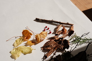 DSCF1303.JPG