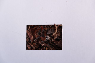 DSCF1585.JPG