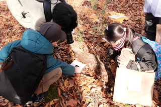 DSCF1601.JPG