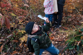 DSCF1613.JPG