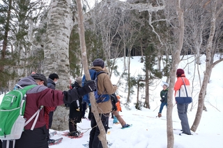 DSCF1642_RR.jpg