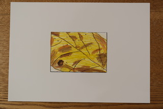 DSCF1713.JPG