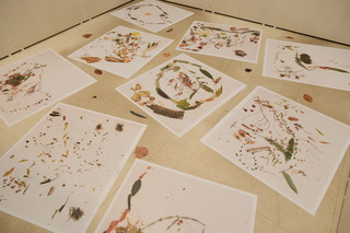 DSCF2068.JPG