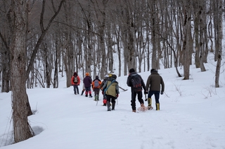 DSCF9584_RR.JPG