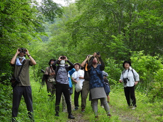 DSCN0237.JPG
