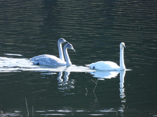 DSCN0462.JPG