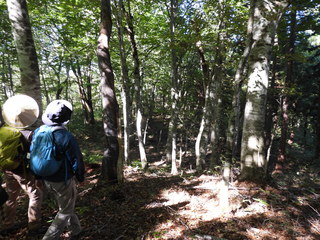 DSCN3161.JPG