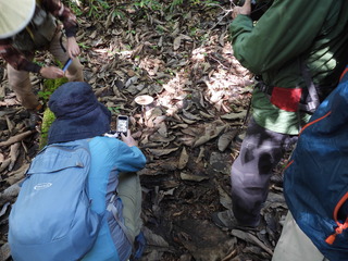 DSCN3167.JPG