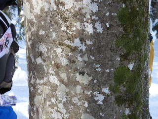 DSCN3754.JPG