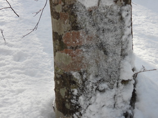 DSCN3755.JPG