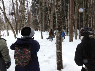 DSCN3924.JPG