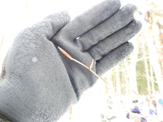 DSCN3925.JPG