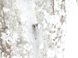 DSCN3994.JPG