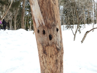 DSCN4018.JPG