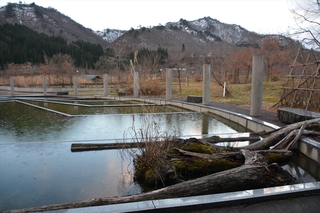 DSC_0096_RR.jpg