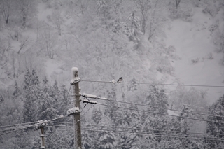 DSC_0204_RR.jpg
