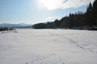 DSC_0535_RR.jpg