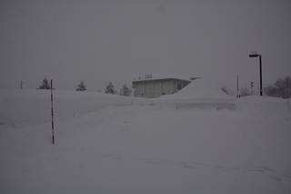 DSC_0650_RR.jpg