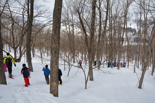 DSC_0869_RR.jpg