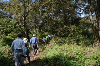 DSC_1143.JPG