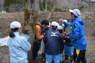 DSC_1940_RR.jpg