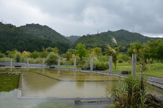 DSC_2278_RR.jpg
