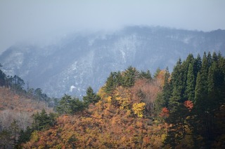 DSC_3013.jpeg