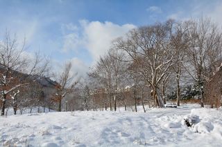 DSC_4541_R.JPG