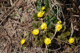 DSC_4808_RR.jpg