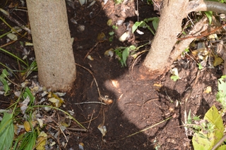 DSC_5150_R.JPG