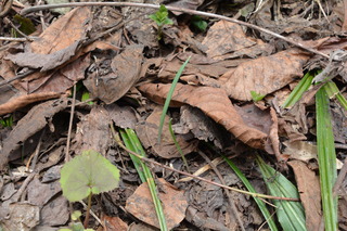 DSC_5794.JPG