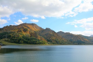 DSC_7167.jpg