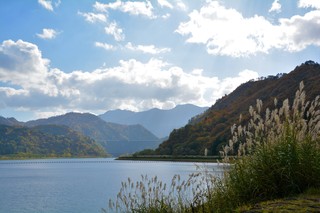 DSC_7173.jpg