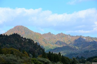 DSC_7197.jpg