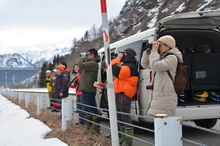 DSC_8358_RR.JPG