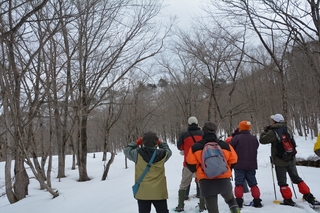 DSC_8438_RR.JPG
