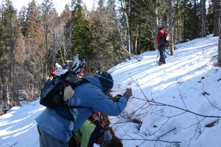 DSC_8490.JPG