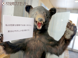 クマ-エントランス.JPG