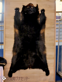 クマ皮-民具.JPG