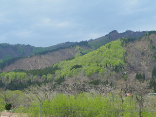 ʐ^3_P5010171.JPG