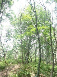 画像6.jpg